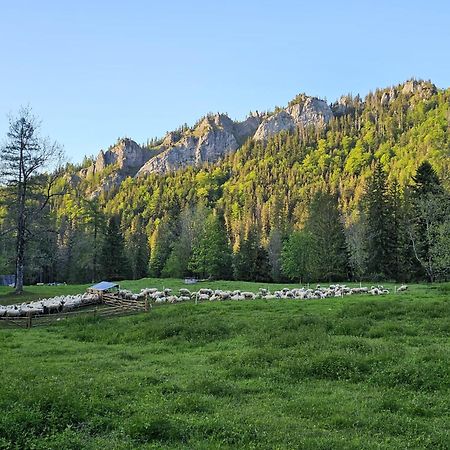 Gosciniec Kuznice Zakopane Exterior foto