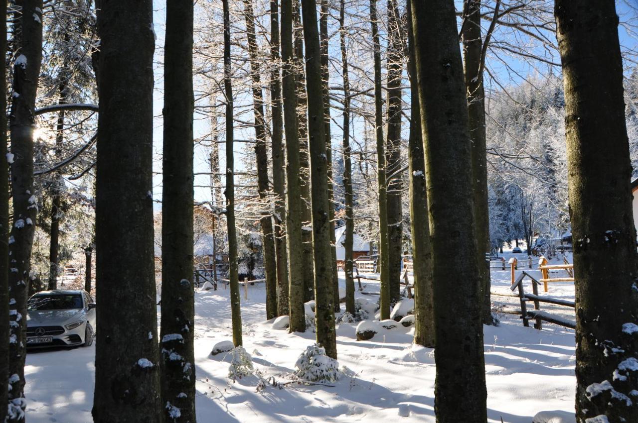 Gosciniec Kuznice Zakopane Exterior foto